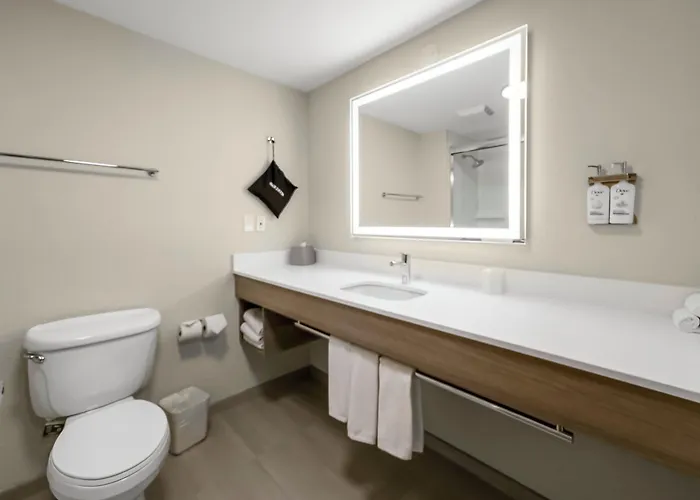 Holiday Inn Express Salt Lake City South - Midvale By Ihg
